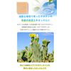 First Soap (Formulated with Rare Prickly Pactus Oil), Additive-Free, Solid Soap, Face Wash, Sensitive Skin, Dry Skin, 1.8 oz (50 g)