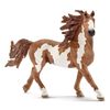 Pinto Stallion, Model: 13794
