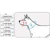 Adjustable Dog Muzzle 6 Sizes Green (XL: 12"-15" Snout Circumf.)