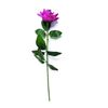Forever Flowerz Large Dozen Roses Flower Making Kit (Moon Dust)
