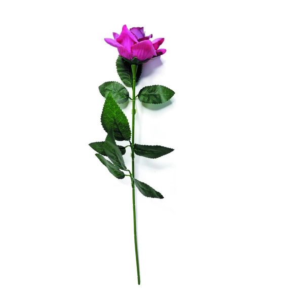 Forever Flowerz Large Dozen Roses Flower Making Kit (Moon Dust)
