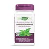 Nature's Way Premium Extract Andrographis, Immune Support*, 300 mg Andrographis Extract per serving, 60 Capsules