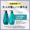 Segreta Conditioner Curl Hair Unit, 15.2 fl oz (430 ml)