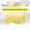 ARWIN Phytoncid Transparent Soap - 180g / 6.3 oz
