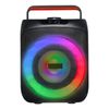 Karaoke Machine for Adults 30W 6.5 in Portable Bluetooth Speaker 2 Wireless Mic