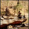 Color Film Process and Scan (35mm,120 Roll) C41 Process *Professional Service*