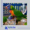 Colloidal Silver for Pets, Dogs, Cats, Birds 32 Oz. 20 PPM