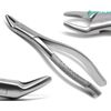 Dental Extracting Forceps 150s Surgical Tooth Extraction 6.2" Instruments
