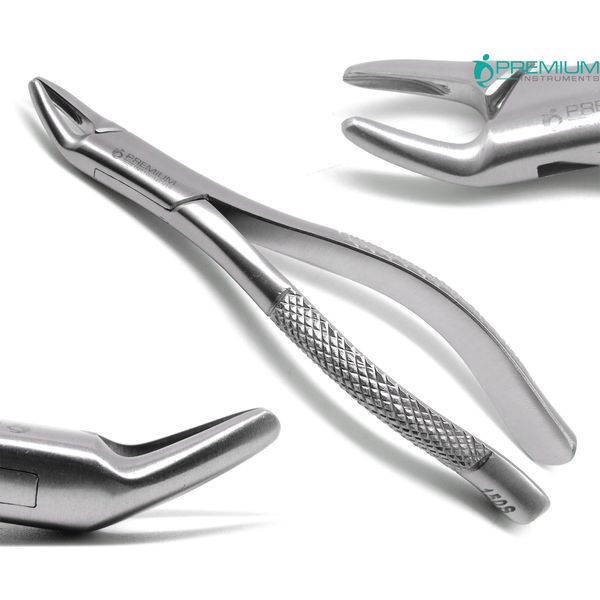 Dental Extracting Forceps 150s Surgical Tooth Extraction 6.2" Instruments