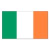 CafePress Irish Flag Rectangle Sticker Rectangle Bumper Sticker Car Decal