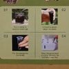 80 Pcs Replacement Grow Sponges - Eco Friendly Hydroponic Seed Starter - Elvancy