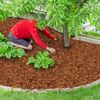 2 Pcs Coconut Coir Chips for Plants - 2.2 LB 100% Organic Coco Husk Chip Bricks