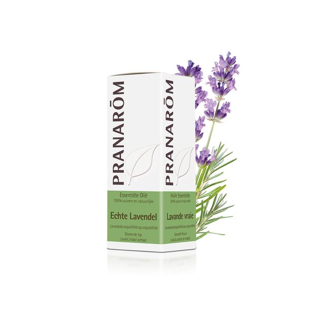 Lavande vraie Bio (Lavandula angustifolia) - Pranarôm.