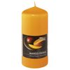 Duftstumpenkerze Duftnote Mango Papaya 110/60