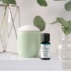 Ellia Diffuser Essential Oil Eucalyptus 15ml, 100% Pure, Therapeutic Grade, 15 mL Bottle, Clear