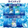 Hakamoto Earth Ice-non Body Sheet Seten, 30 Sheets x 30 Pieces