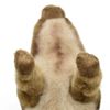 Hansa No. 4853 Akachan Boar Stuffed Animal
