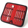 Dental Scaler Probe Pick Set + Mirror Plaque Remover Oral Hygiene 10 Basic Tools