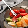 Stainless Steel Forks Set - for Oyster Shellfish, Appetizers & Dessert (6 Pcs)