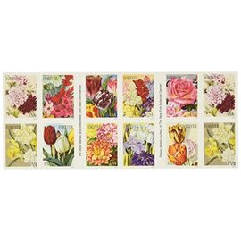 Green Succulent Sheet of 10 Global USPS First Class International Forever  Postage Stamps (5)