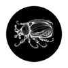 Line Art Entomologists Japanese Beetle PopSockets Adhesive PopGrip