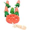 Rosewood CARROT DREAM CATCHER