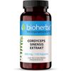 Cordyceps 360 mg, 100 capsules