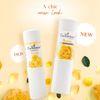 Enchanteur Perfumed Talc, Charming, 250g