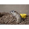 FiberCore Eco-Bedding Odor Control Pet