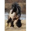 Mane-ly Long Hair Detangler/Polisher 8oz.