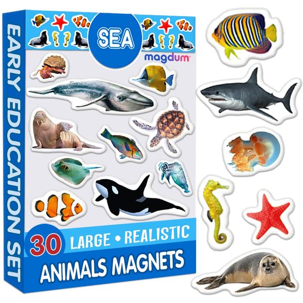 Fridge Magnets For Toddlers Magdum - 30 SEA Animal Kids Fridge Magnets - Animal Magnets For Toddlers - Fridge Magnets For Kids - Kids Magnets - Magnetic Shapes - Magnet Toy - Kids Magnets For Fridge