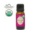 US Organic 100% Pure Geranium Essential Oil - USDA Certified Organic, Steam Distilled - W/Euro droppers (More Size Variations Available) (10 ml / .33 fl oz)