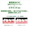 GUM Medicated Salt Toothpaste, Dental Paste, Salty Mint, Standing Type, Spicy Mint Type, 5.3 oz (150 g)