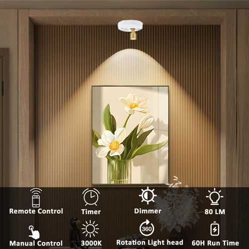 2Pack Battery Operated Spotlight, Picture Light with Remote Dimmable & Timer, Plants Uplighting Picture Lights for Paintings, Small LED Spot Display Lights for Wall Frame Artwork Dartboard