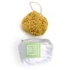 12CM Sea Sponge Unbleached Honeycomb Natural Seasponge for Bath Use, for Baby, or Art use (S Size 10-12 cm)