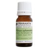Pranarom Red Pine European (Pine/Scotch Pine) BIO 10ml (PRANAROM Chemotype Essential Oil) [Parallel Import]