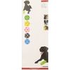 Kruuse Fun-Flex Assorted Colour Bandage Rolls, 10 cm, 10-Piece