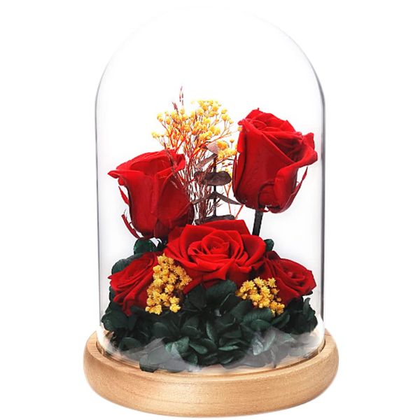 TEATSIGHT Preserved Flower Arrangement, Wrapped Glass Pot, 5 Wheels (Rose, Red)