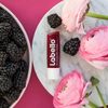 Labello Blackberry Shine Lip Balm 4.8g