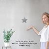 SM-07 SPACE MIRROR Space Mirror Design Type (Star)
