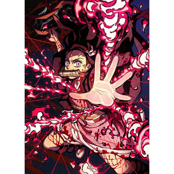 鬼滅の刃 9(完全生産限定版) [Blu-ray]