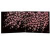 Aizu Lacquerware Black Long Impact Sakura Bai
