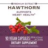 Hawthorn Standardized Extract - 90 - Capsule