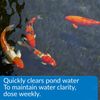 API Pond Accu Clear 16 oz Water Clarifier for Clear Freshwater Ponds