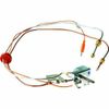 Reliance 170 F Liquid Propane (LP) Pilot Assembly 100109253  SAME DAY SHIPPING