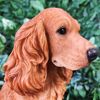 Vivid Arts - Golden Cocker Spaniel Ornament - XRL-COSP-D