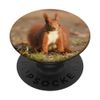 Squirrel PopSockets Extendable Base and Grip for Smartphones and Tablets