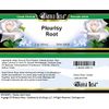 Bianca Rosa Pleurisy Root Cream (2 oz, ZIN: 524251) - 3 Pack