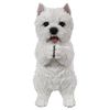 Playing Westie