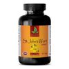 St. John’s Wort Herb Capsules - ST. JOHN'S WORT EXTRACT  Relaxation Mood Support